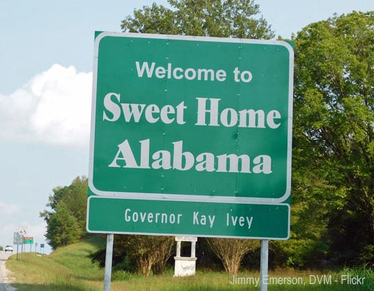 welcome to alabama sign