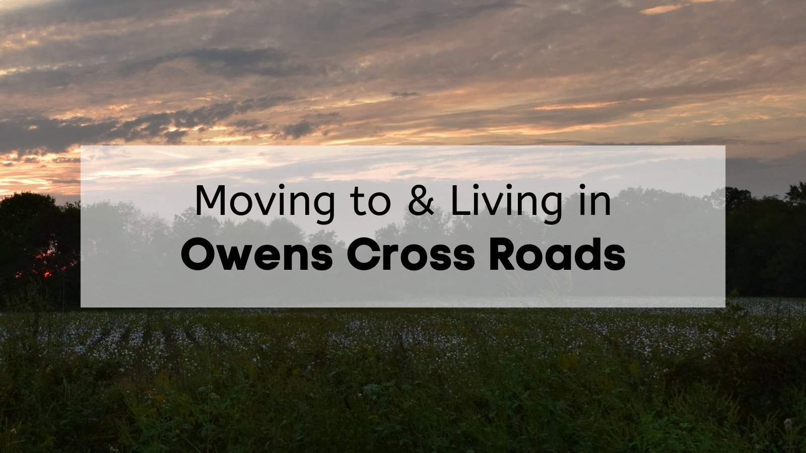 Sunset over a farm in Madison County, AL, with the text, "Moving to & Living in Owens Cross Roads," overlaid